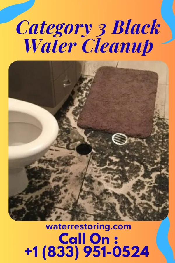 Category 3 Black Water Cleanup in Allendale, IL