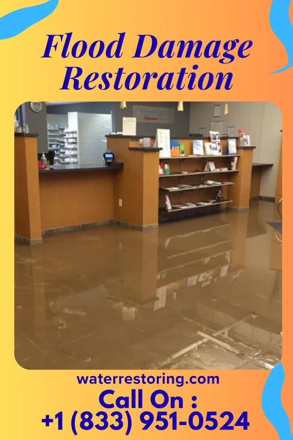 Flood Damage Restoration in Allendale, IL